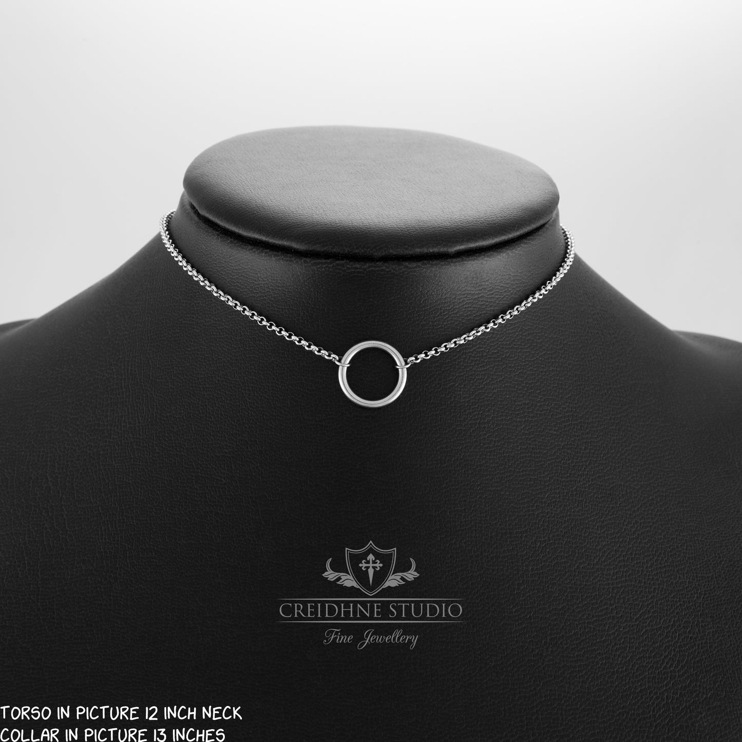 Stainless Steel Discreet Day Collar: Small O Ring Necklace